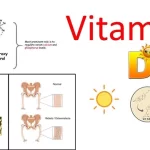 Hành trình lịch sử hơn 350 năm đầy thú vị của VITAMIN D