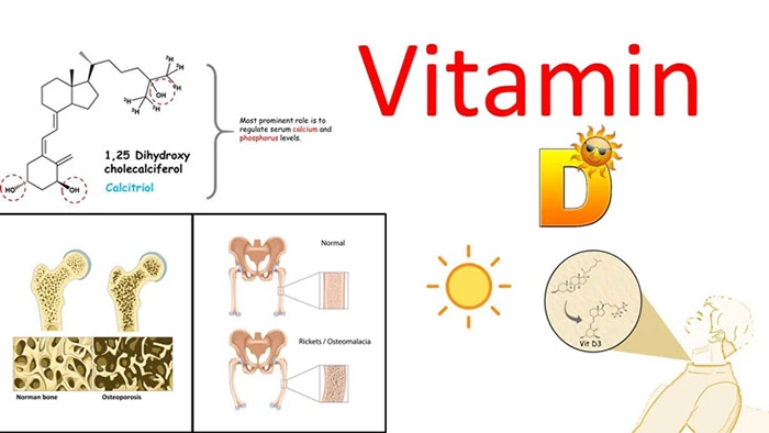 Hành trình lịch sử hơn 350 năm đầy thú vị của VITAMIN D