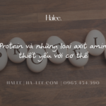Protein và những loại axit amin thiết yếu với cơ thể Protein và những loại axit amin thiết yếu với cơ thể