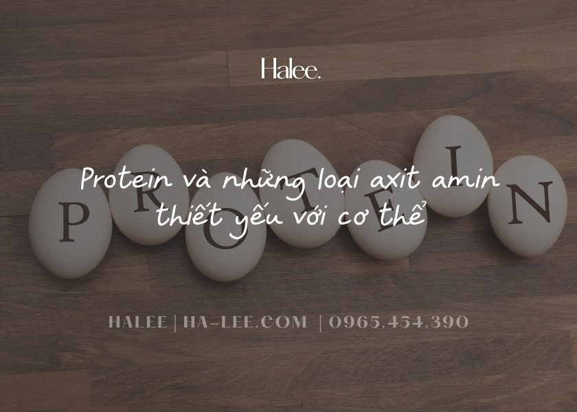Protein và những loại axit amin thiết yếu với cơ thể