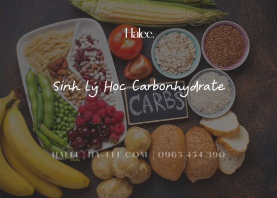 Sinh Lý Học Carbonhydrate