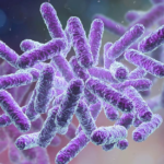 vi_sao_probiotics_la_xu_huong_duong_da_khong_the_thieu_1
