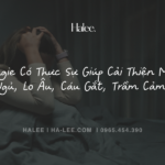 Magie Có Thực Sự Giúp Cải Thiện Mất Ngủ, Lo Âu, Cáu Gắt, Trầm Cảm? Magie Có Thực Sự Giúp Cải Thiện Mất Ngủ, Lo Âu, Cáu Gắt, Trầm Cảm