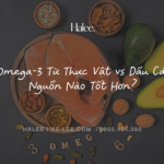 Omega-3 Từ Thực Vật vs Dầu Cá Nguồn Nào Tốt Hơn