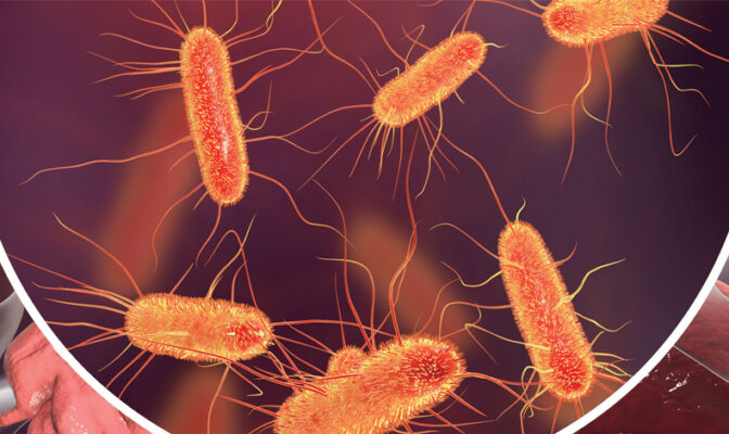 gutbacteria