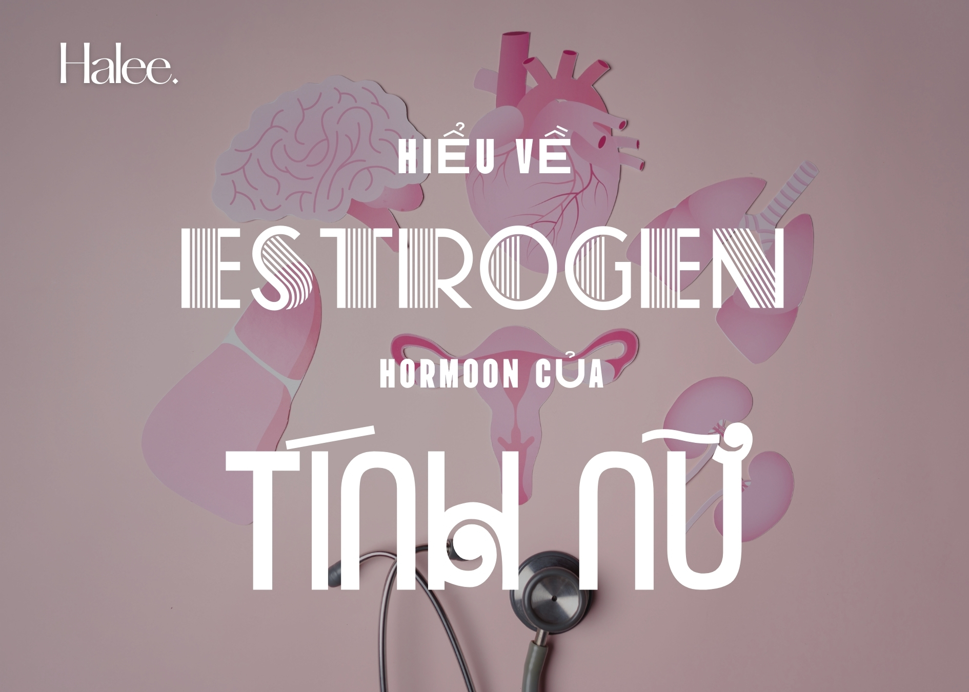 estrogen