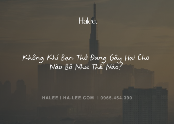 Không Khí Bạn Thở Đang Gây Hại Cho Não Bộ Như Thế Nào?